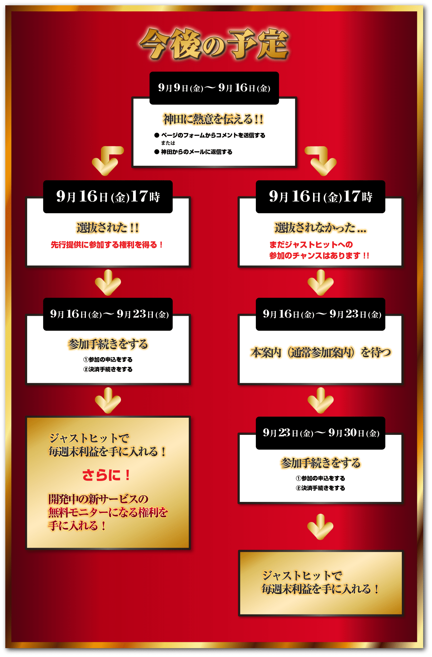 今後の予定先行参加者の選抜結果発表：9月16日(金) 17：00先行参加者以外の方への本案内：9月23日(金)17：00