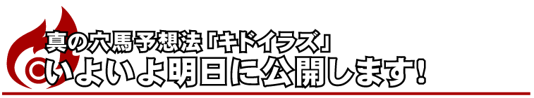 真の穴馬予想法【キドイラズ】いよいよ明日に公開します！